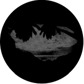 Meshed Palm - Stock Gobo for Gobo Light Projectors - Choose your size!