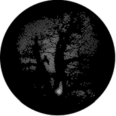 Meshed Oak - Stock Gobo for Gobo Light Projectors - Choose your size!