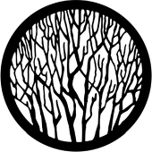 Bare Branches 1 - Stock Gobo for Gobo Light Projectors - Choose your size!