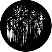 Forest - Stock Gobo for Gobo Light Projectors - Choose your size!