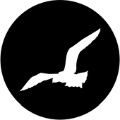 Gull - Stock Gobo for Gobo Light Projectors - Choose your size!