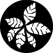 Fronds - Stock Gobo for Gobo Light Projectors - Choose your size!