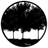 Tree Silhouette 1 - Stock Gobo for Gobo Light Projectors - Choose your size!