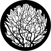 Winter Tree 2 - Stock Gobo for Gobo Light Projectors - Choose your size!