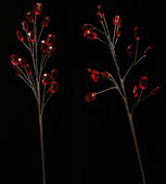 DecoStar™ 15" Beaded Branches - Red