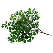 Single Fig Leaf Branch - Interchangeable Branches for Large Event Trees!