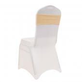 DecoStar™ 5" Wide Spandex Chair Band - Champagne - 10 PACK